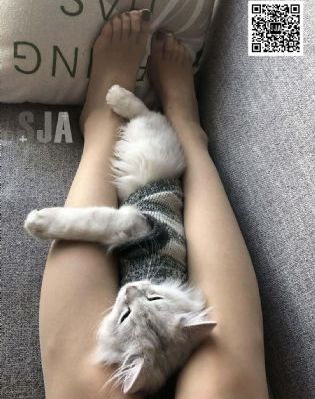 电影嫂子_国产剧在线观看完整版